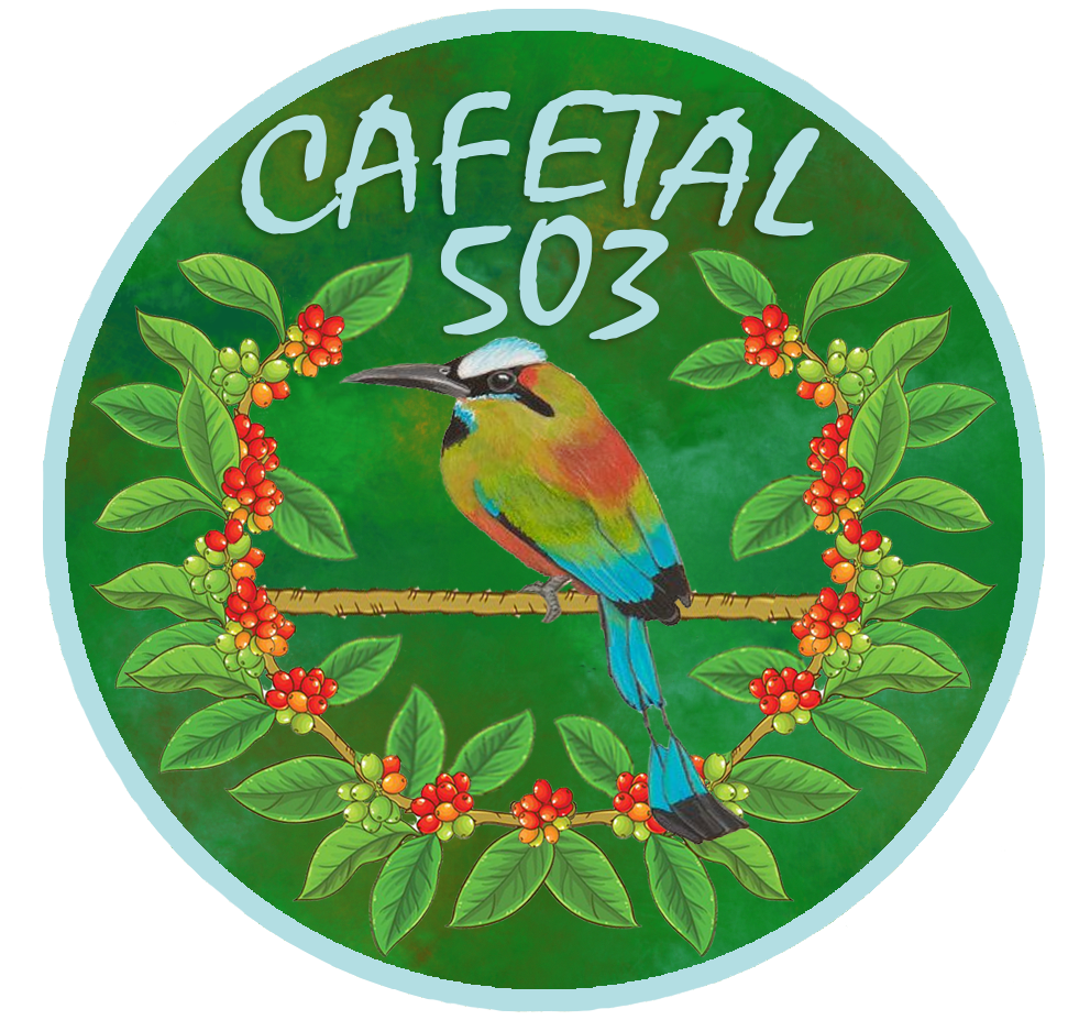 Cafetal 503